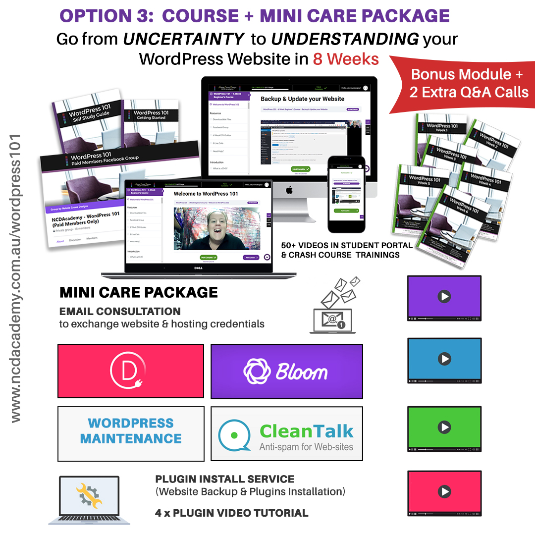 WordPress 101 Course Mini Care Package