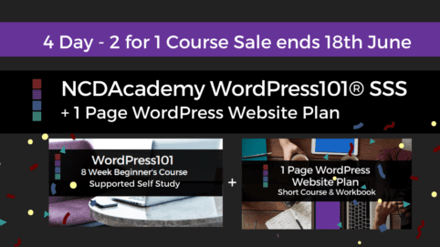 2 in 1 - WordPress101 SSS+ 1 Page Plan Bundle